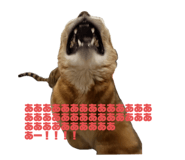 737608425