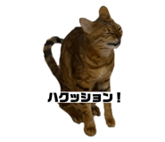 737608426