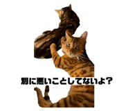 737608431