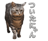 737615659