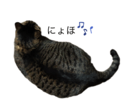 737615677