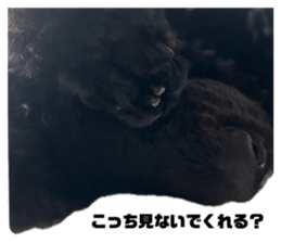 737648702