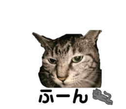 737655290