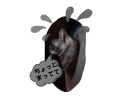 737655295