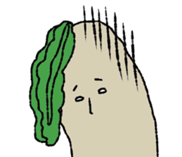 7376622
