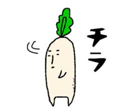 7376636