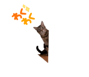 737683001