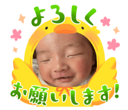 737694398