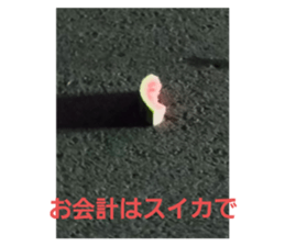 737700732