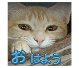 737731421