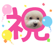 737733453