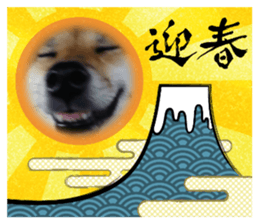 737744290