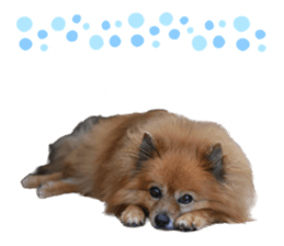737756706