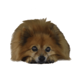 737756726