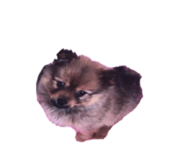 737756734
