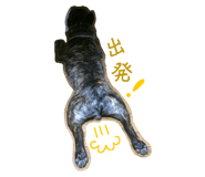 737765450