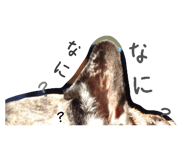 737765453