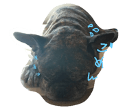 737765457