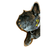 737765464