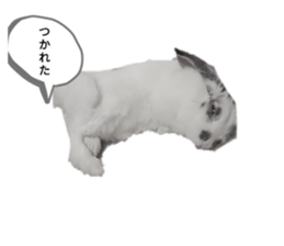737768940