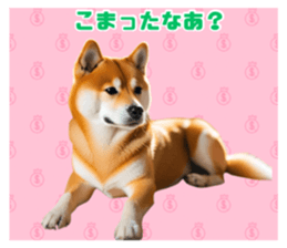 737792463