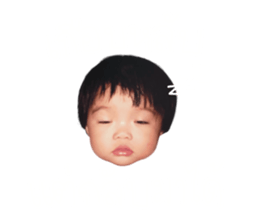 737793806