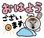 737799001