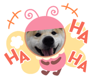 737799003