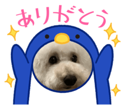 737800258