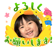 737806377