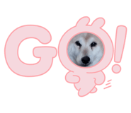 737811835
