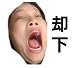 737817615