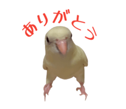 737822905