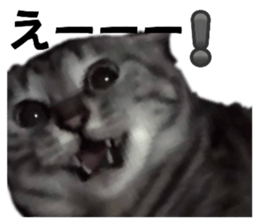 737824412