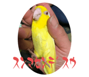 737887160