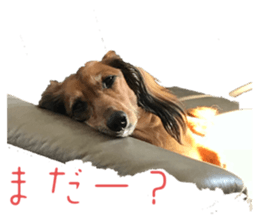 737887579