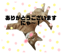 737894680