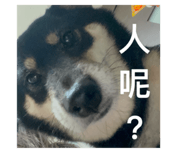 737895749