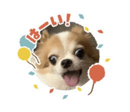 737898988