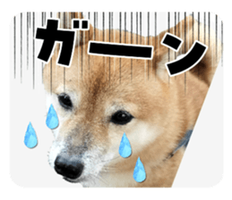 737900709