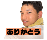 737904387