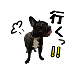 737905365
