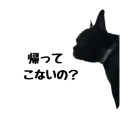 737905366