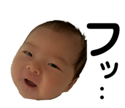 737916517