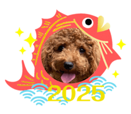 737921390