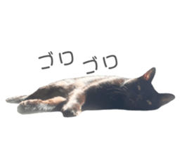 737930640
