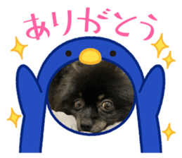 737931308