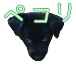 737960011