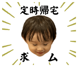 738012637