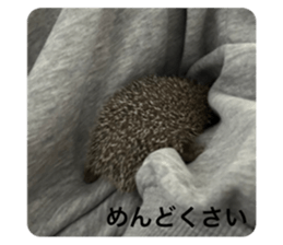 738026990